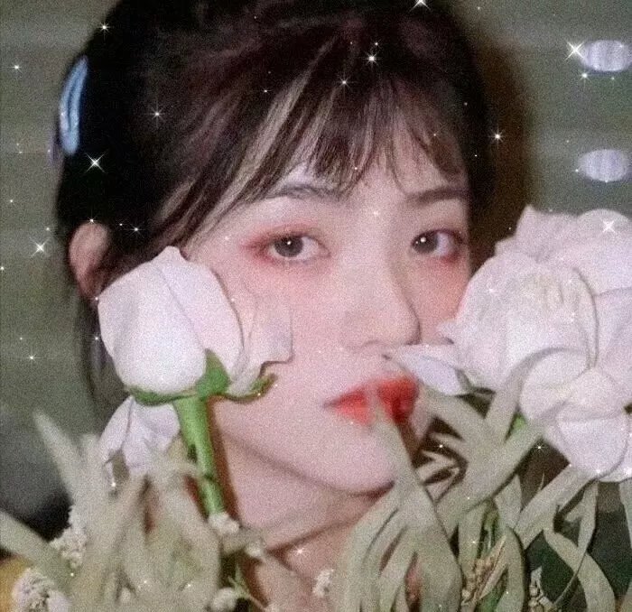 落花时节国语